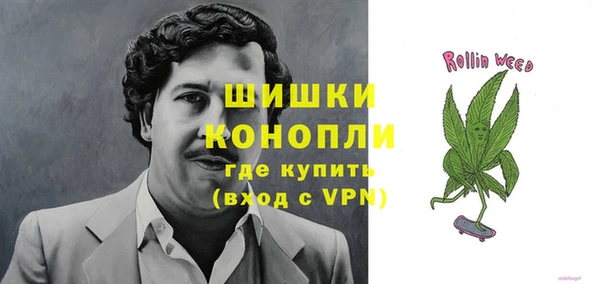 стаф Медногорск